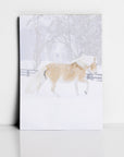 Notepads