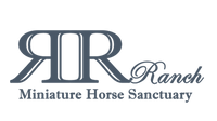 R&R Ranch Miniature Horse Sanctuary