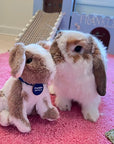 Franklin Bundle