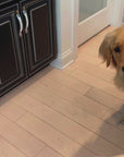 Handsome's Dog Toy