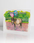 Eleanor's Secret