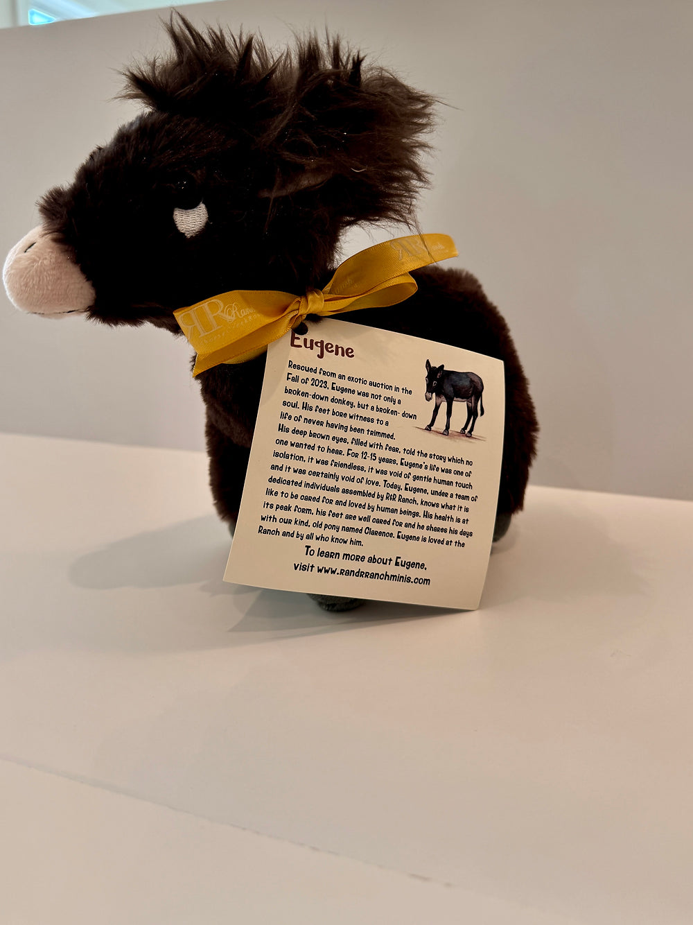 Eugene Plush – R&R Ranch Miniature Horse Sanctuary