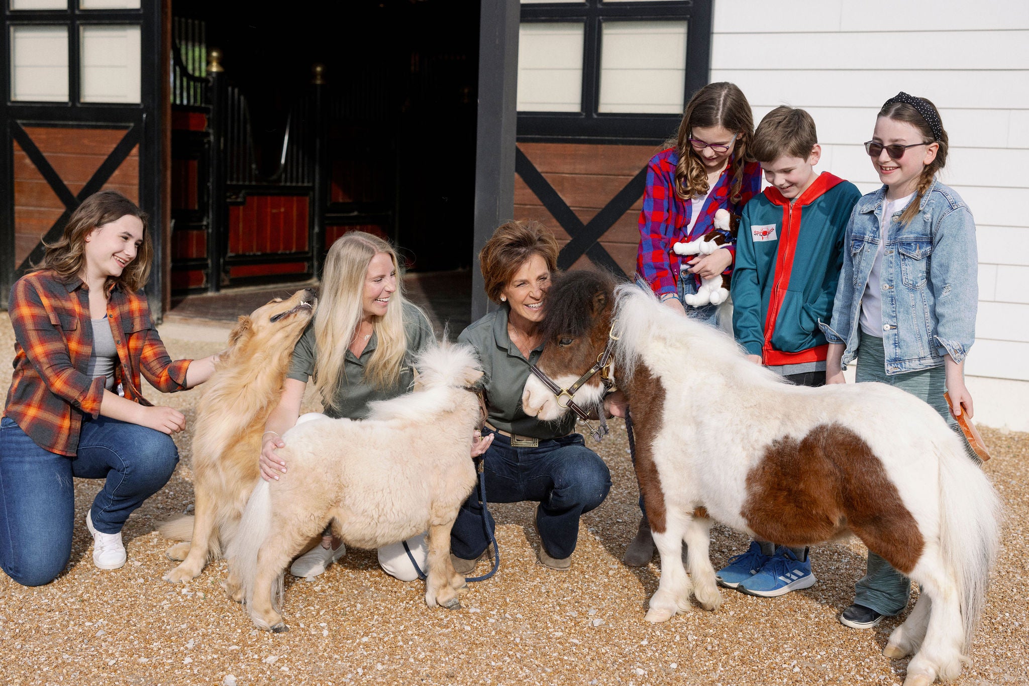 About Us – R&R Ranch Miniature Horse Sanctuary