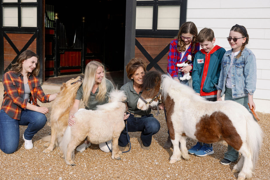 Meet Our Minis – R&R Ranch Miniature Horse Sanctuary