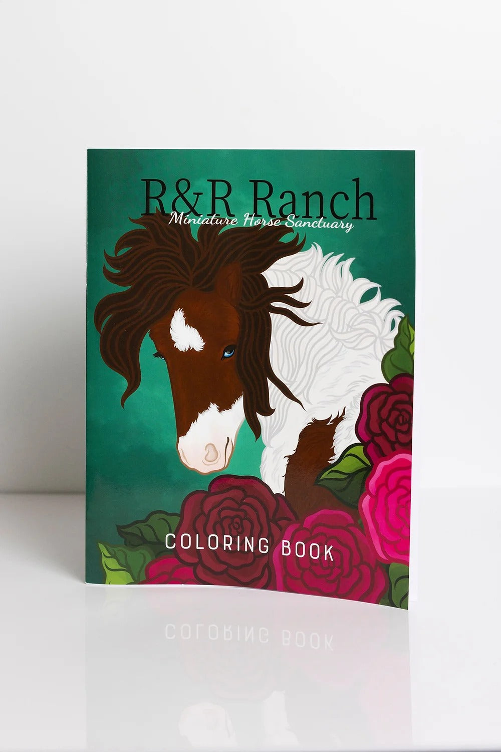 The Rocking R Ranch Books Book Bundle – R&R Ranch Miniature Horse Sanctuary